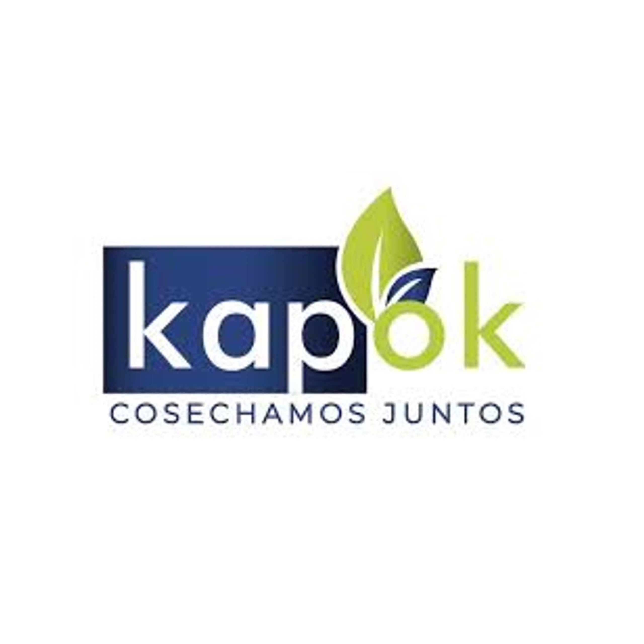 Logo Kapok 2023
